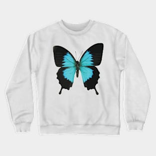 Black and Blue Butterfly Crewneck Sweatshirt